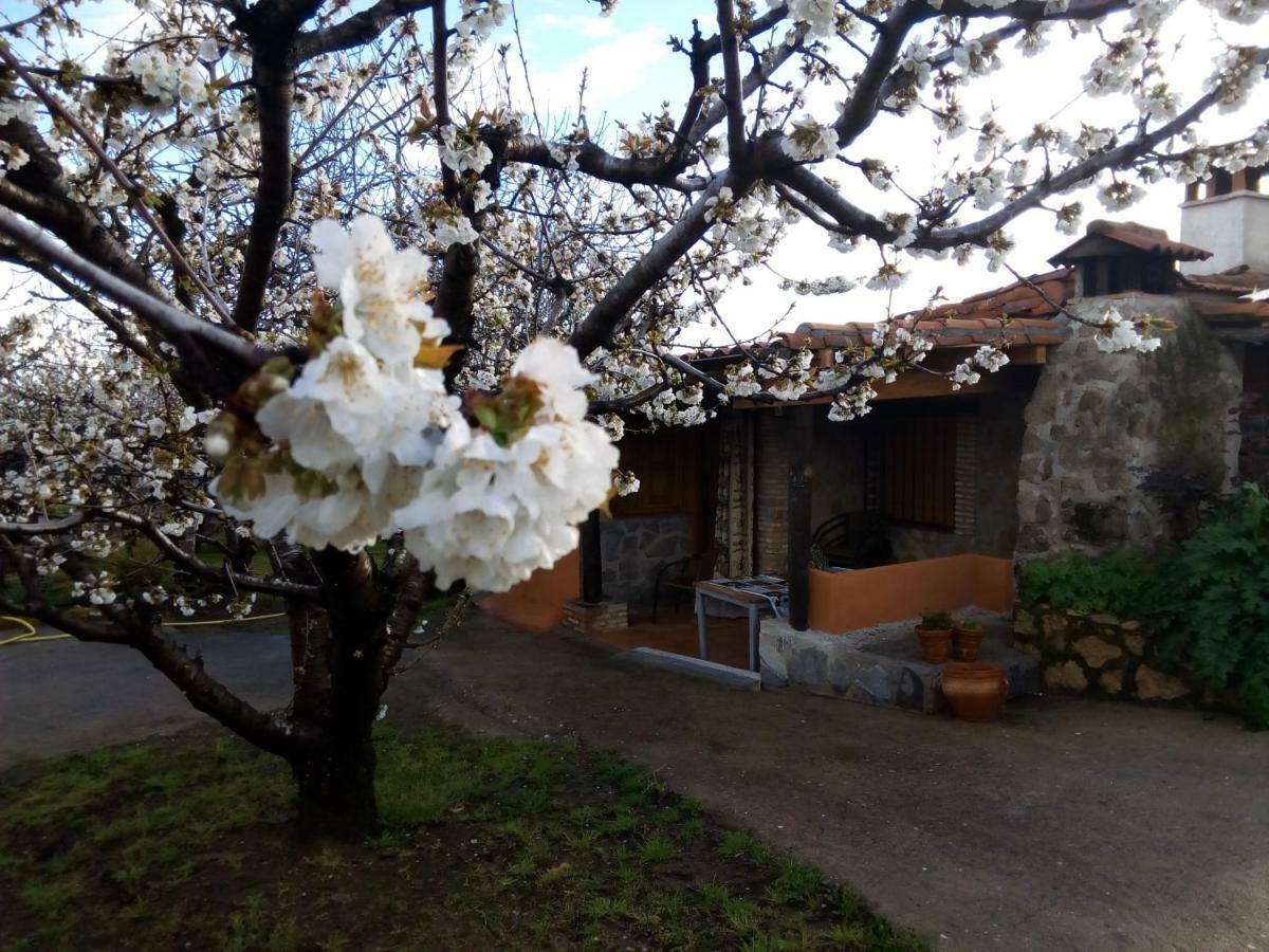 Mirador Los Cotos Torremenga Εξωτερικό φωτογραφία